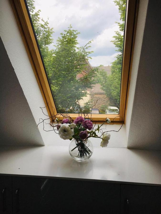 Rheingau - Schoene Moeblierte Ferienwohnung 엘트빌레 외부 사진